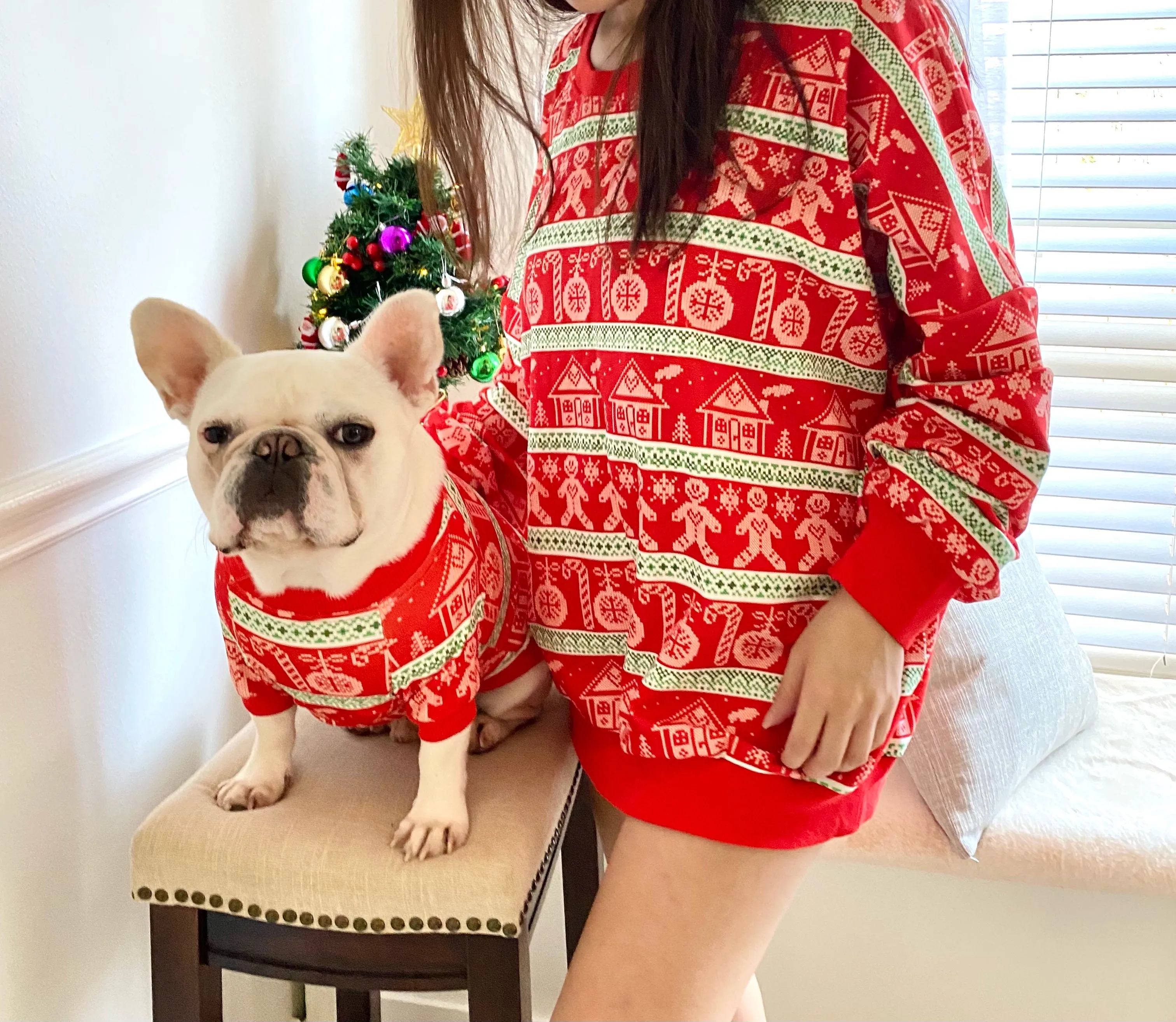 Christmas Classic Print Owner and Pet Matching Set