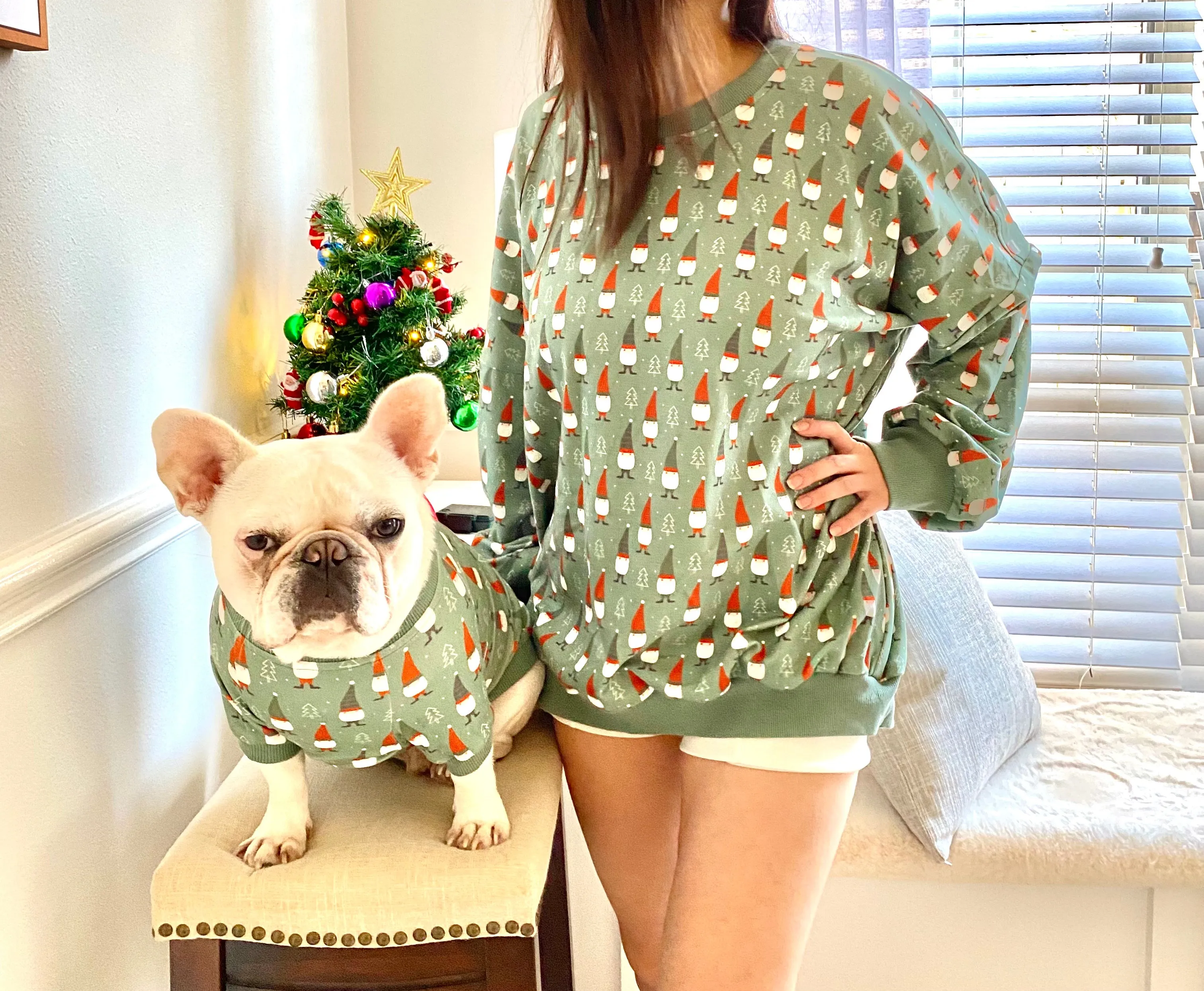 Christmas Gnomes Owner and Pet Family Matching Sweater