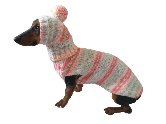 Clothes suit for mini dachshund or small dog knitted sweater and hat