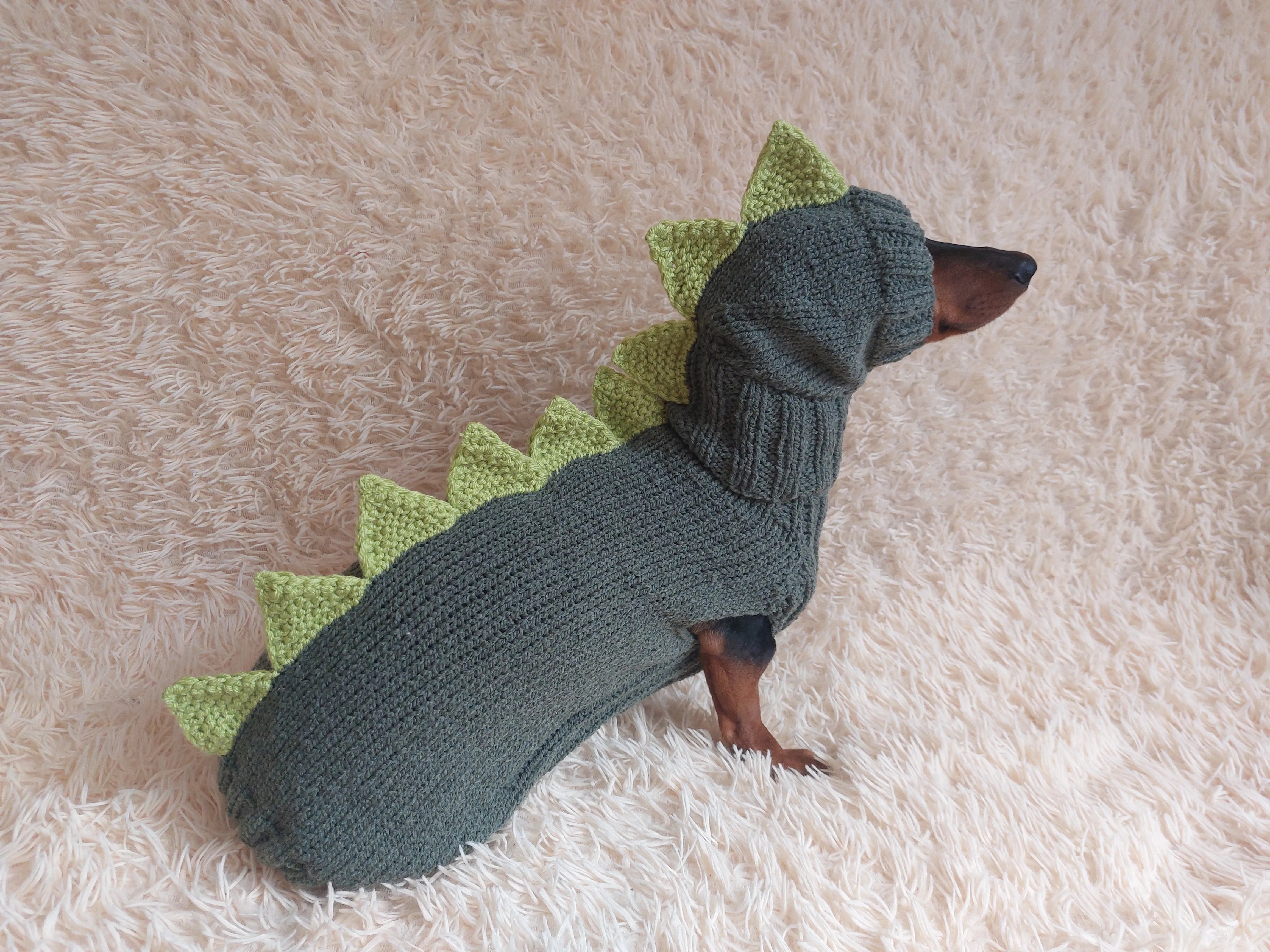 Dinosaur costume for dogs, dachshund dinosaur costume sweater and hat, dino dog cloches, dino dog sweater