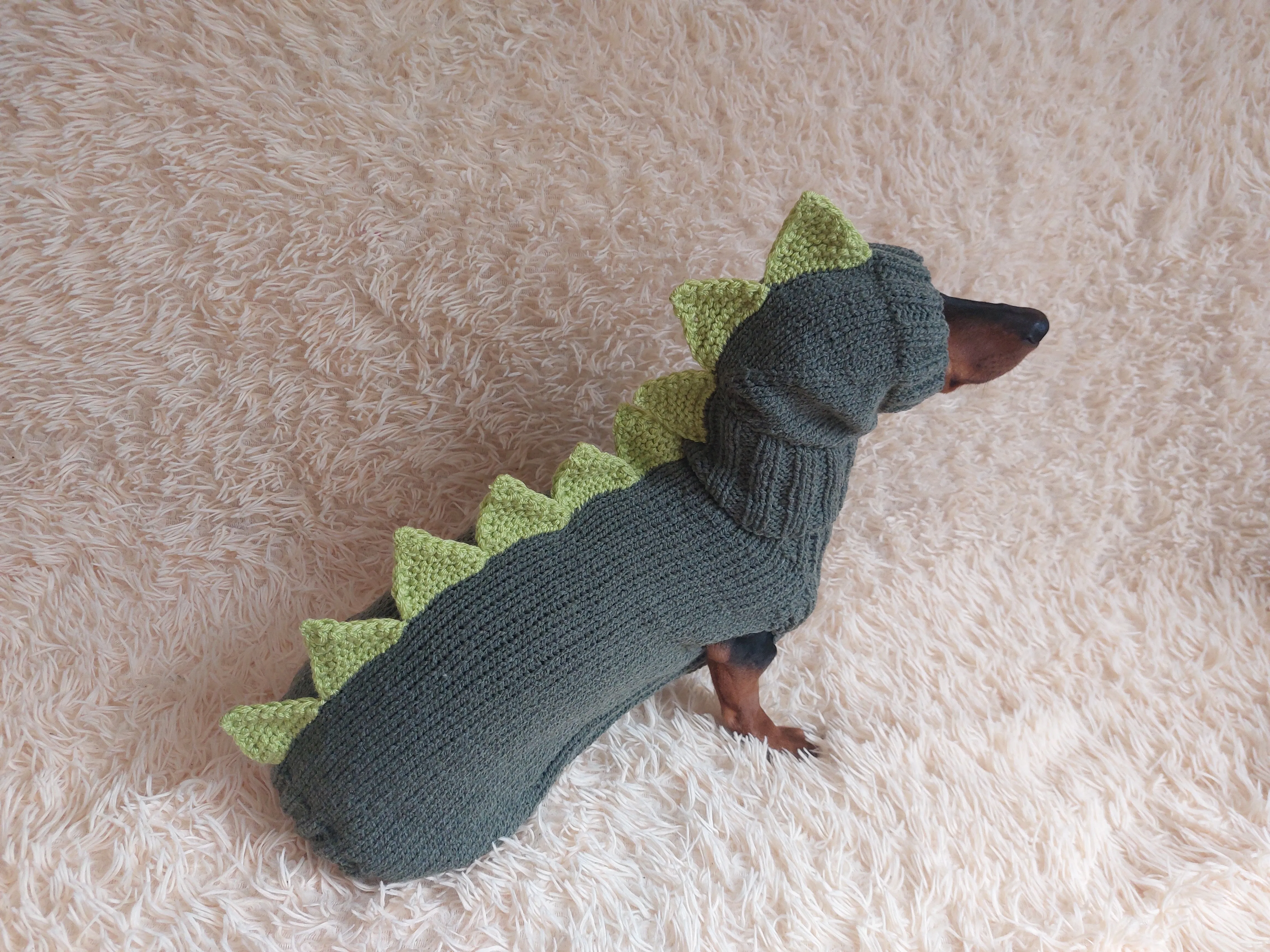 Dinosaur costume for dogs, dachshund dinosaur costume sweater and hat, dino dog cloches, dino dog sweater