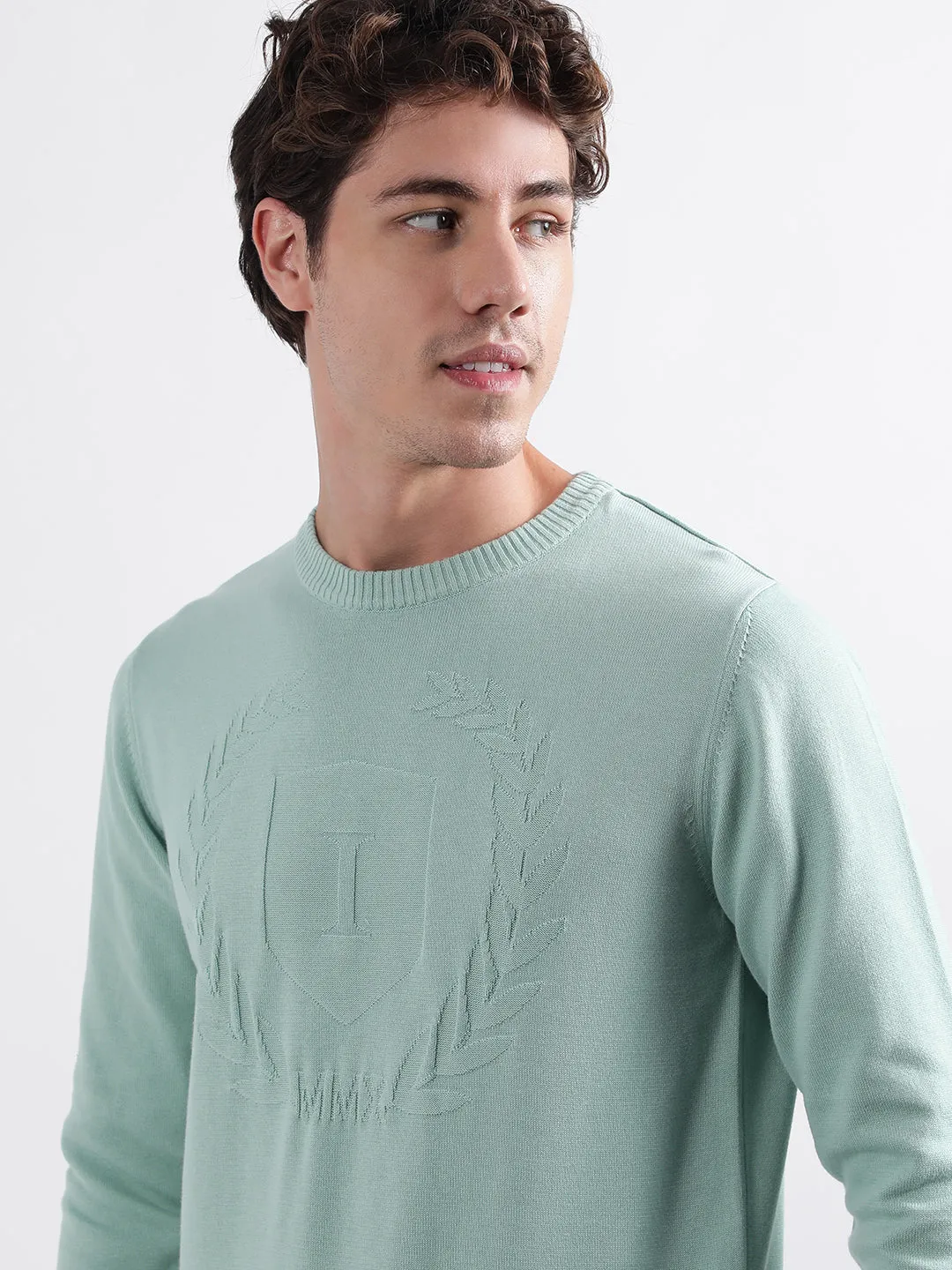 Iconic Men Green Solid Round Neck Full Sleeves Pullover Style Sweater