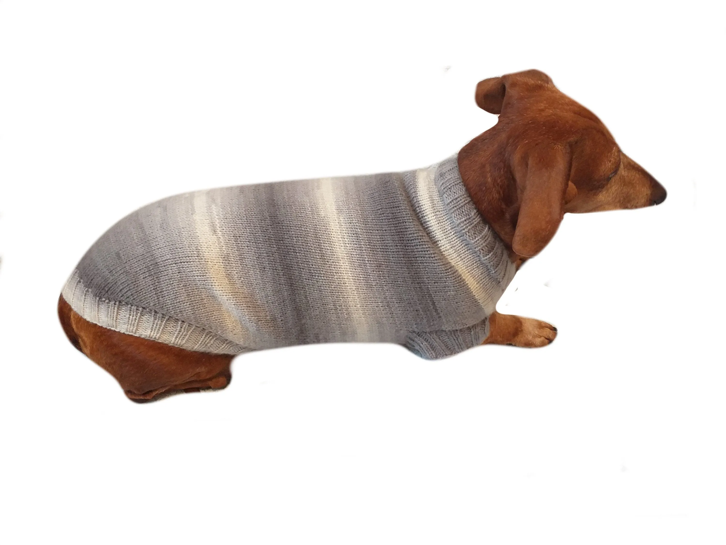 Knitted gray sweater for small dog