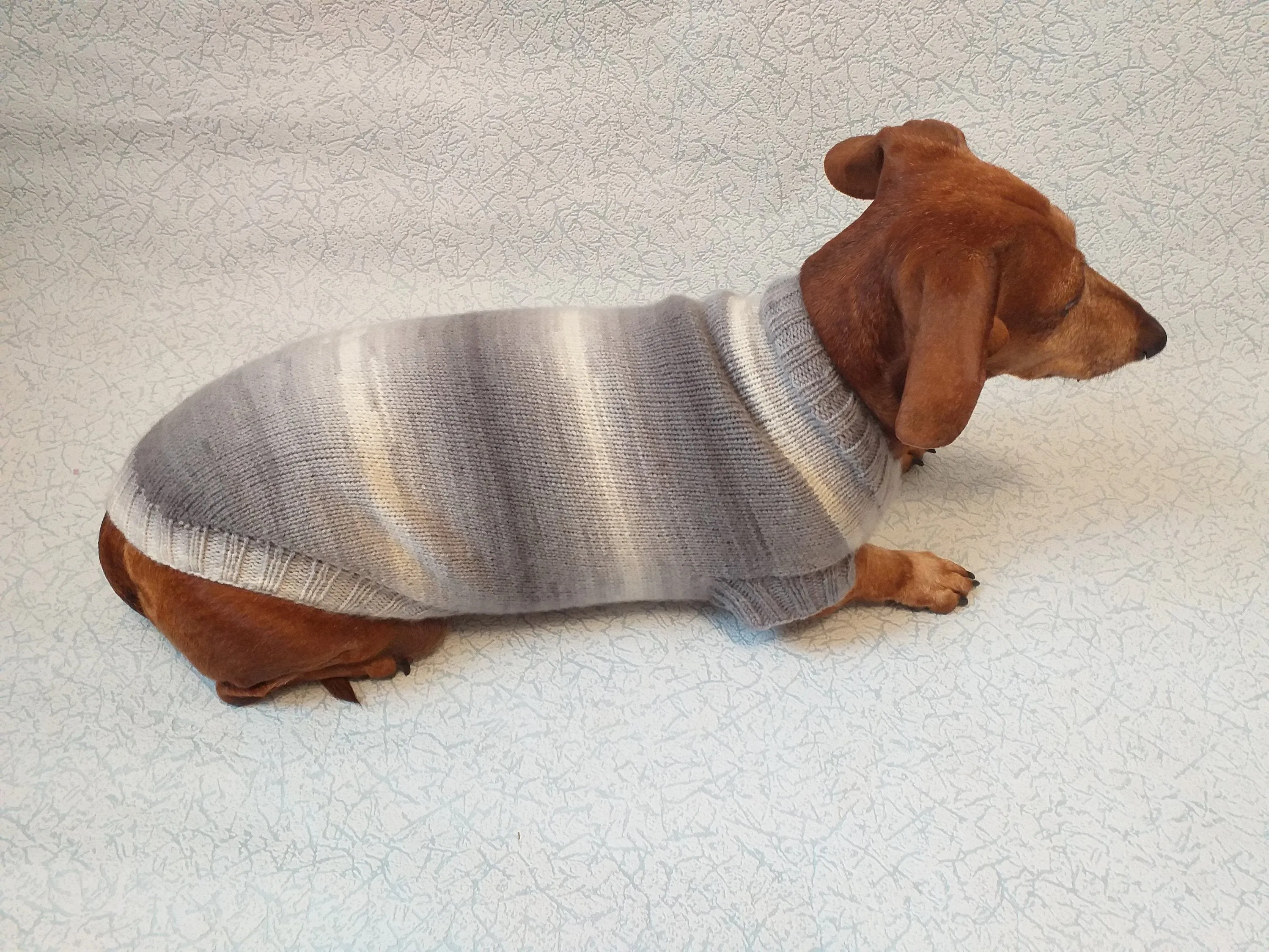 Knitted gray sweater for small dog