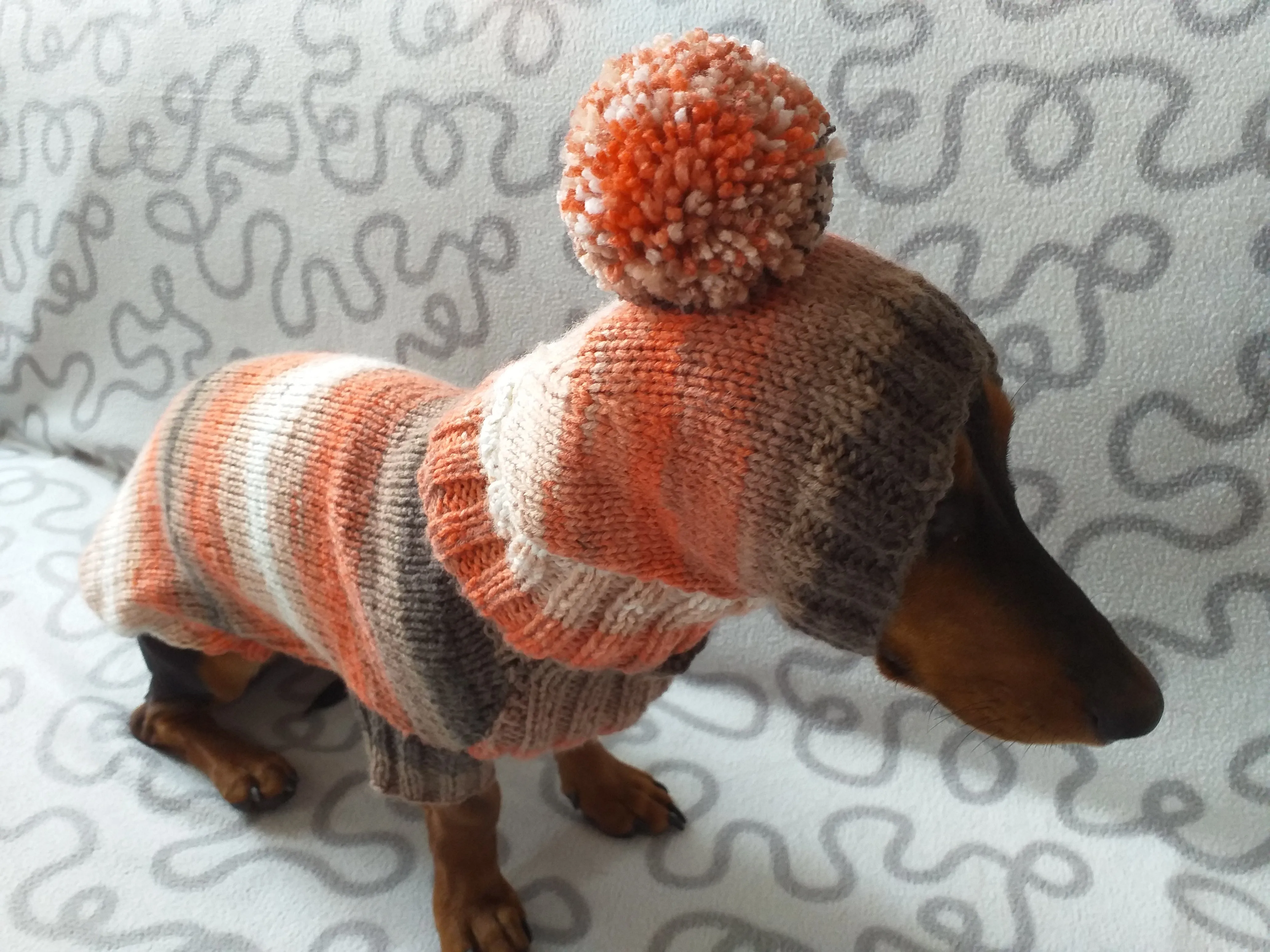 Knitted suit sweater and hat for dog, Dachshund clothes knitted suit sweater and hat, wiener costume sweater and hat