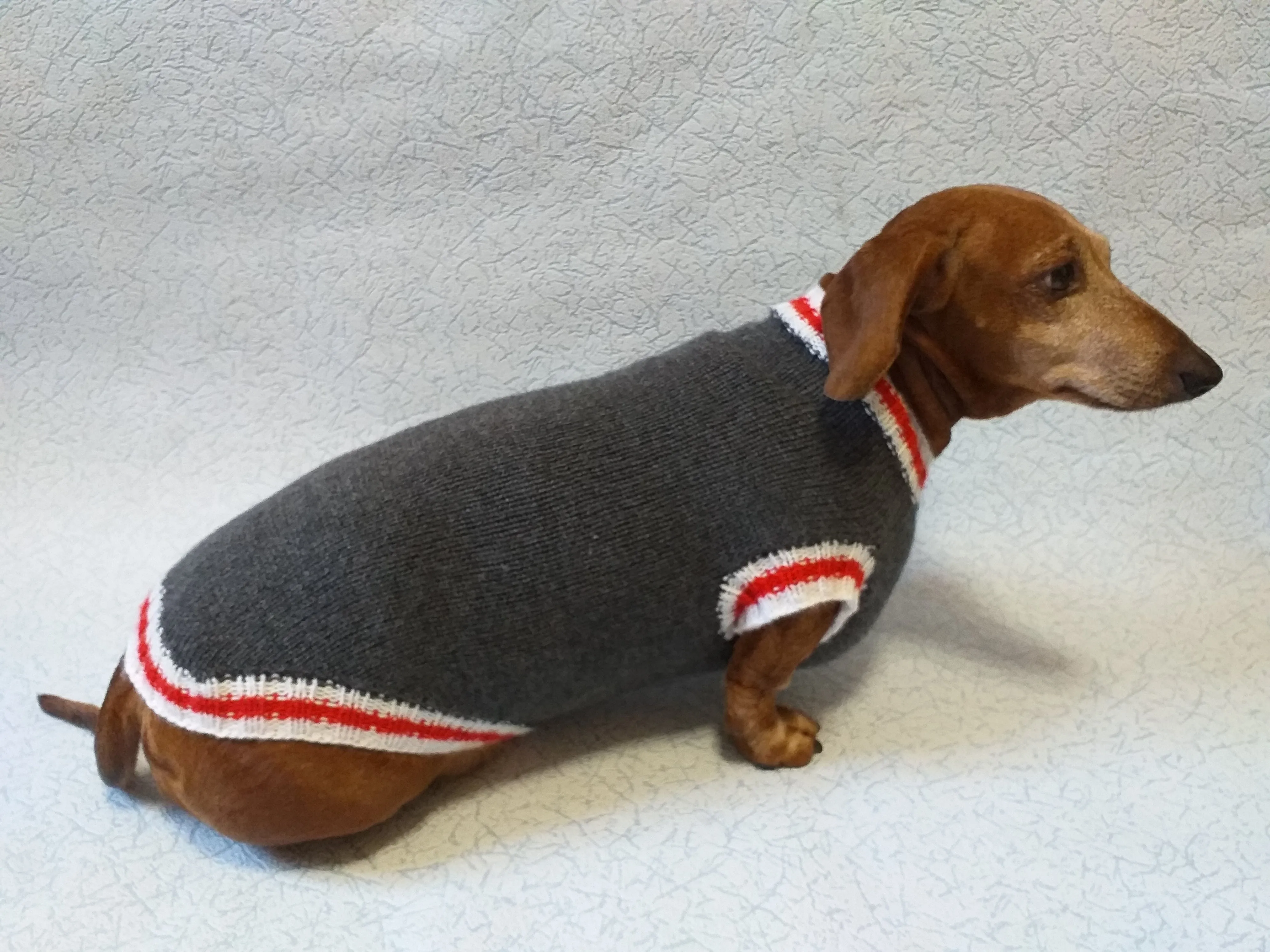 Knitted warm dachshund sweater, gray dog sweater with stripes