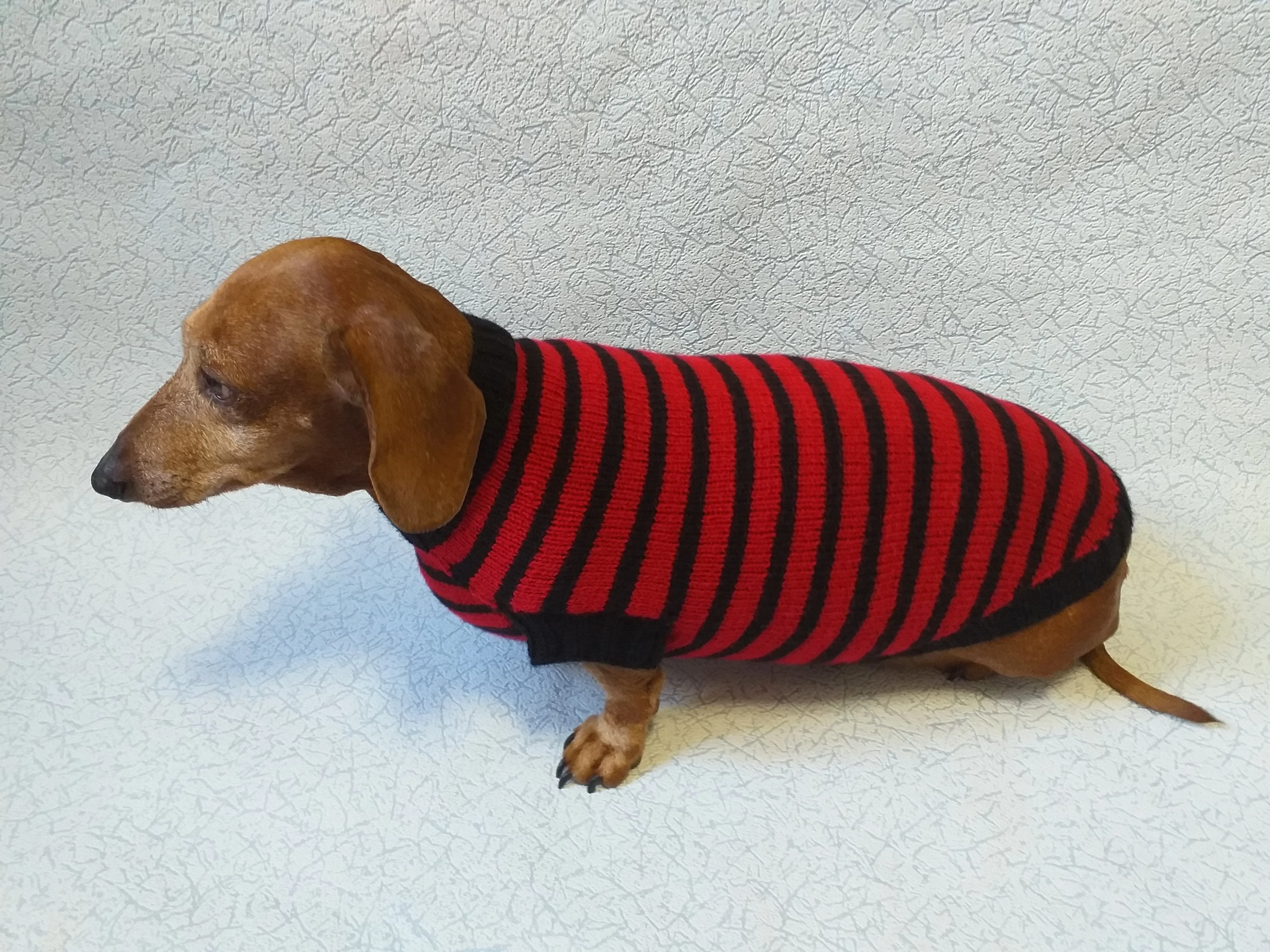 Red with black stripes dog knitted sweater, clothes for dachshund, sweater dog, clothes for dog, sweater for small dogs, dachshund sweater