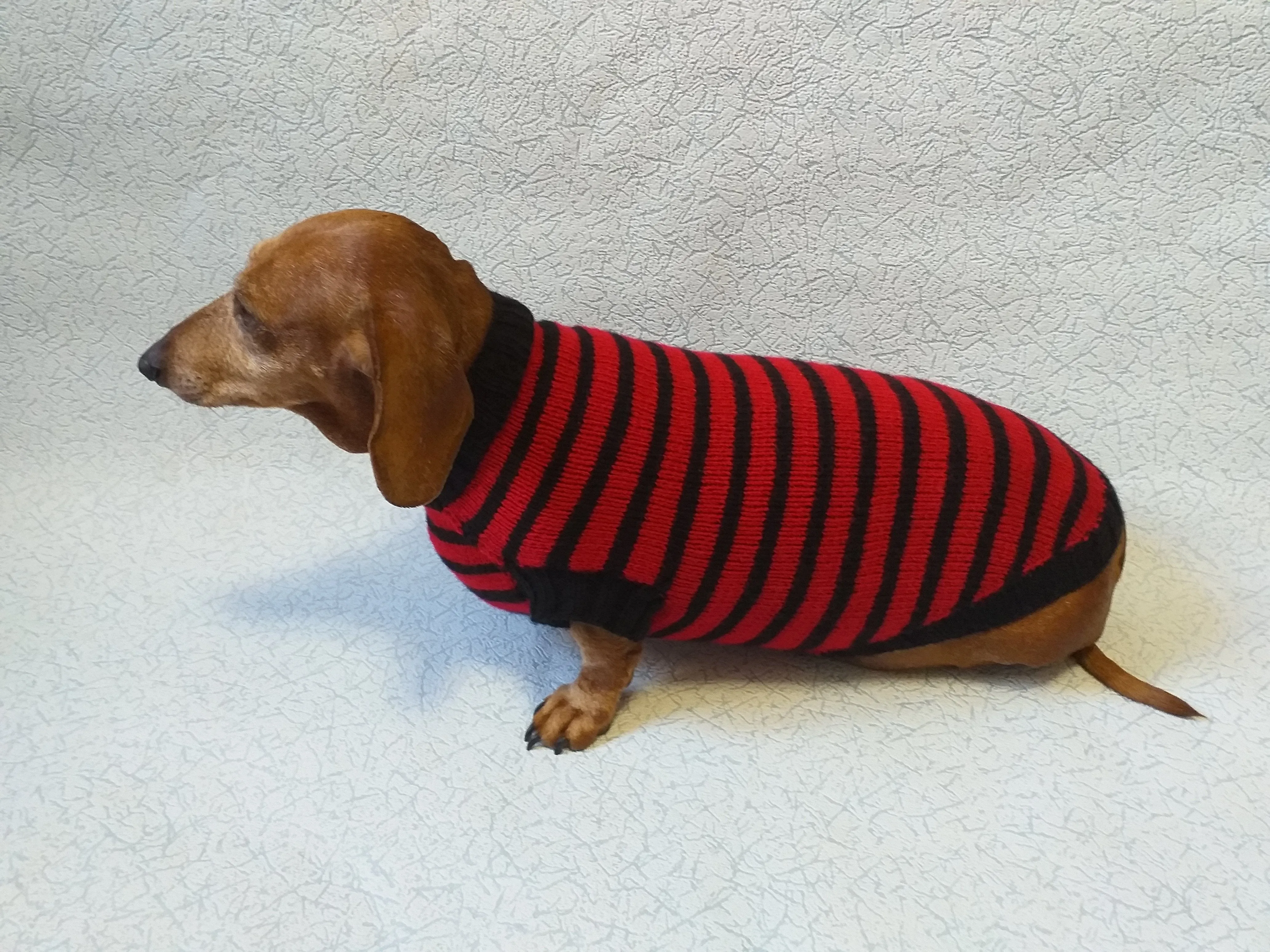 Red with black stripes dog knitted sweater, clothes for dachshund, sweater dog, clothes for dog, sweater for small dogs, dachshund sweater