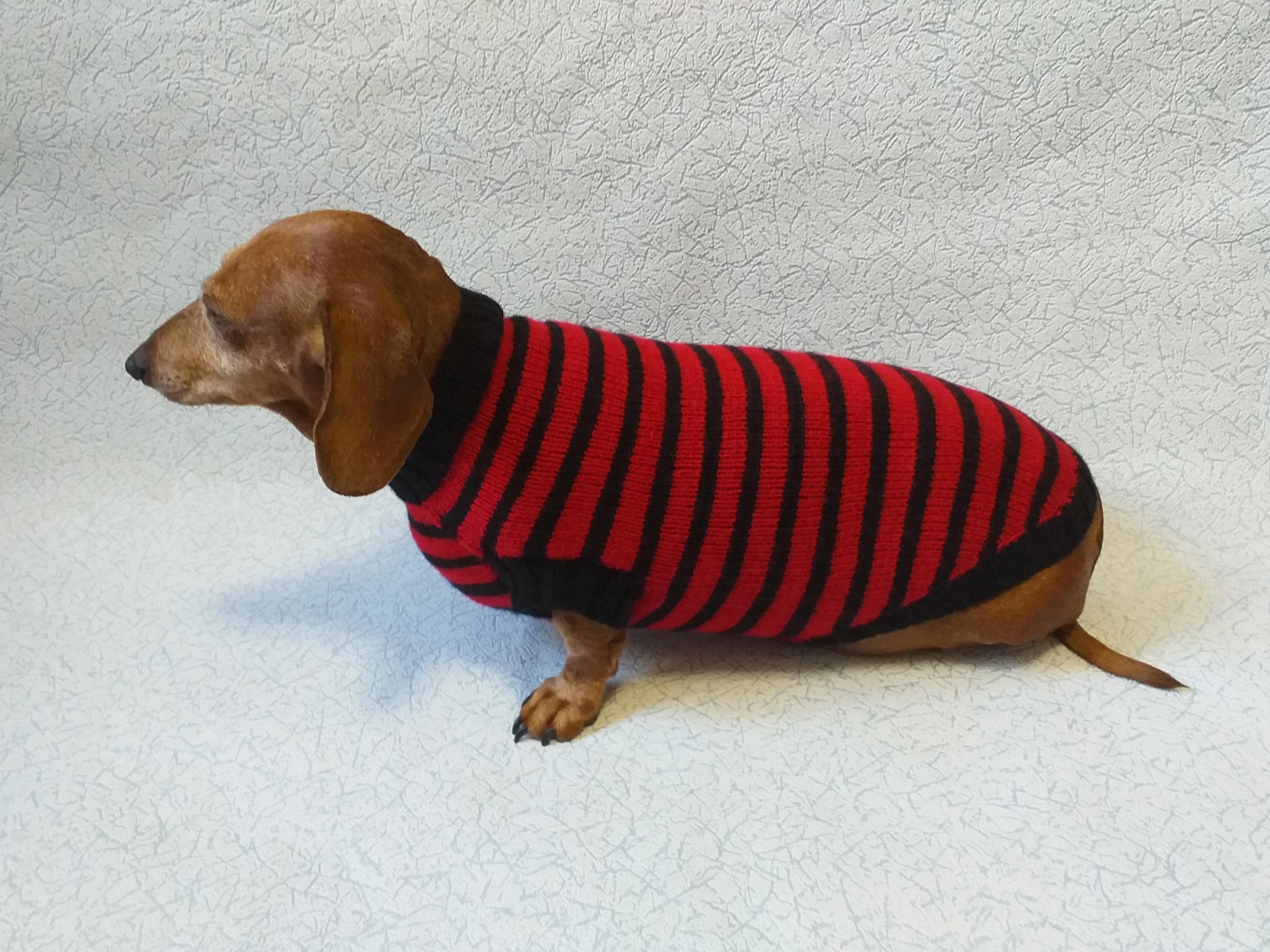 Red with black stripes dog knitted sweater, clothes for dachshund, sweater dog, clothes for dog, sweater for small dogs, dachshund sweater