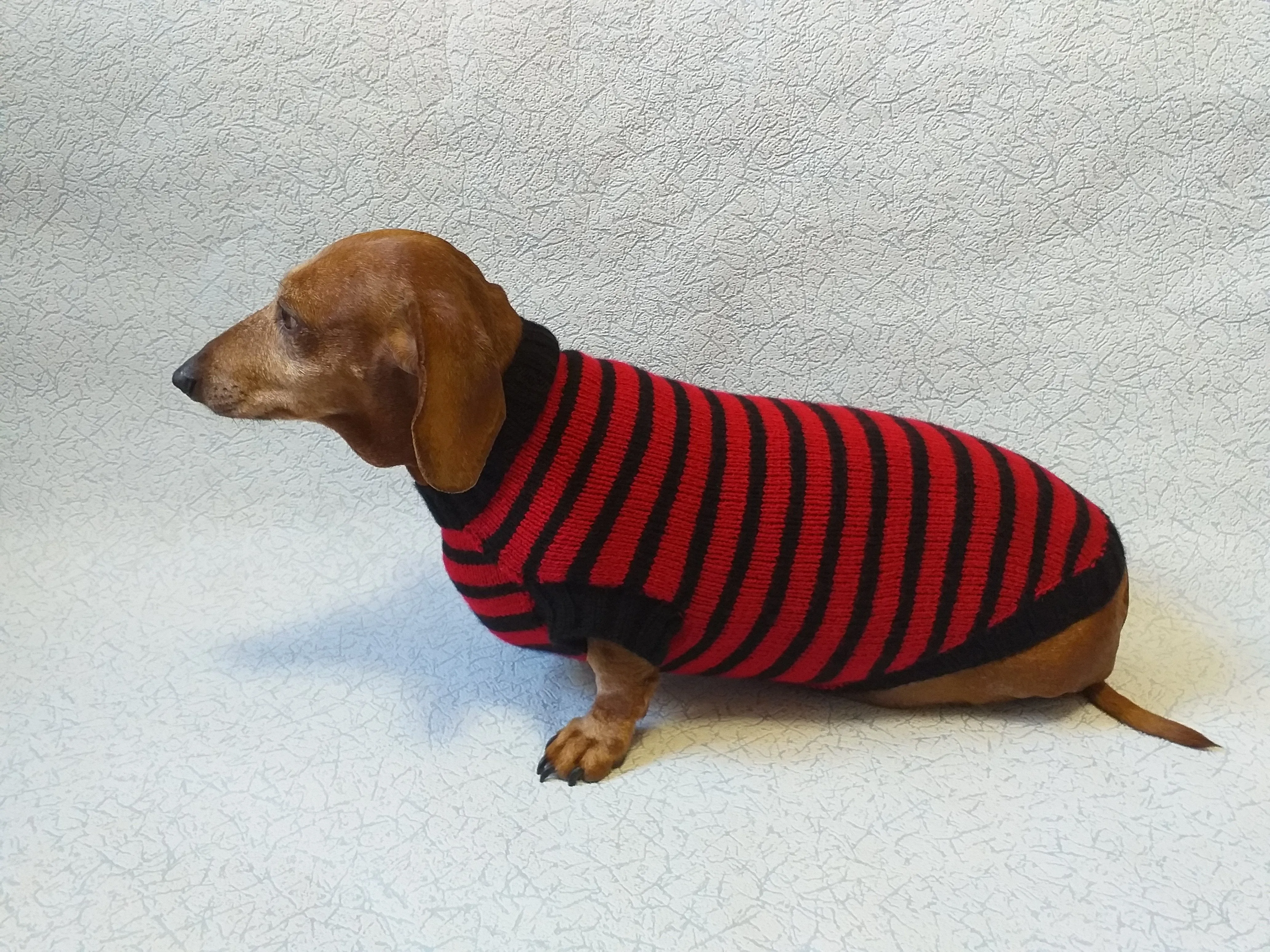 Red with black stripes dog knitted sweater, clothes for dachshund, sweater dog, clothes for dog, sweater for small dogs, dachshund sweater