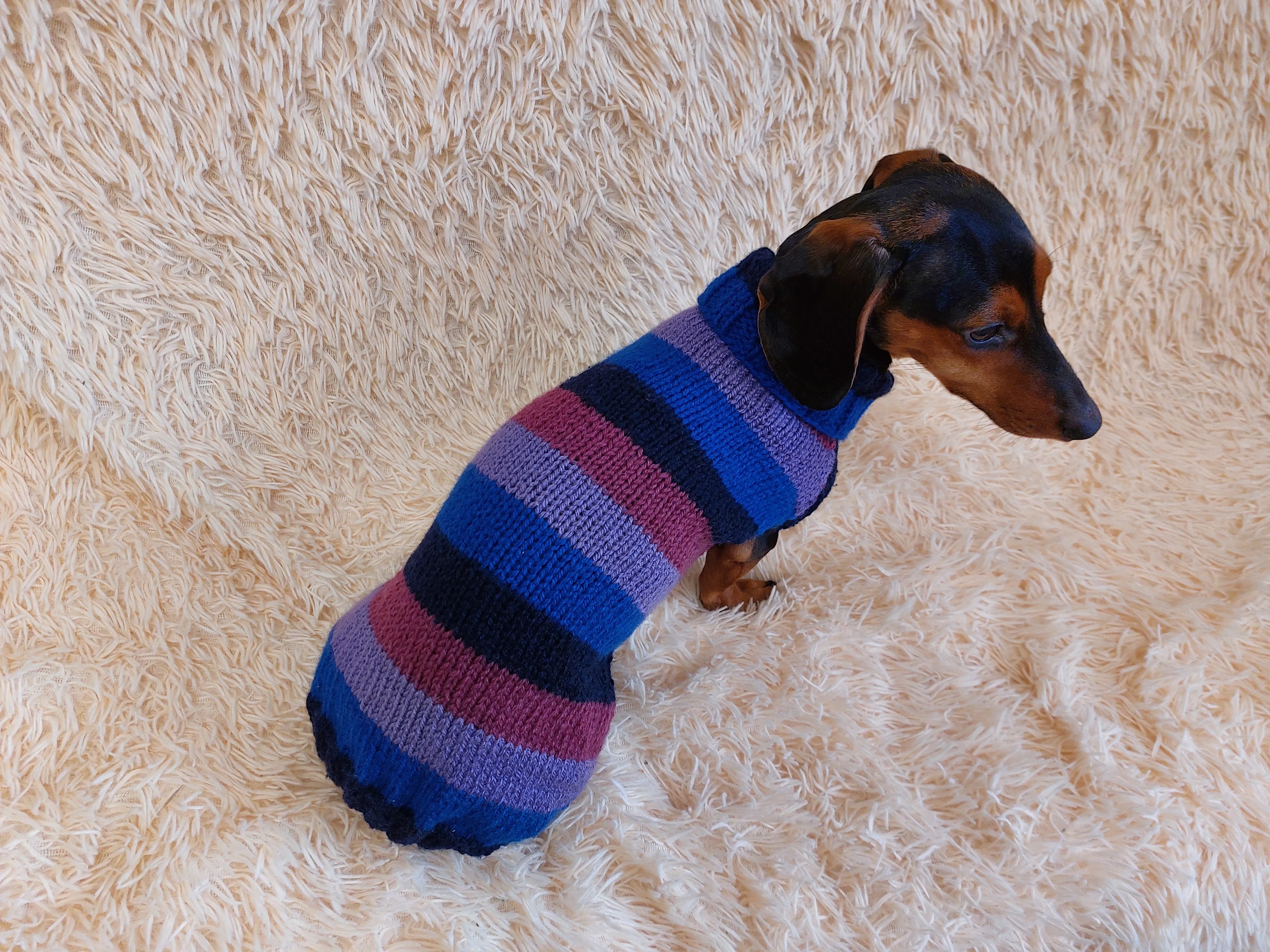 Sweater for small dog or dachshund puppy knitted angora wool handmade