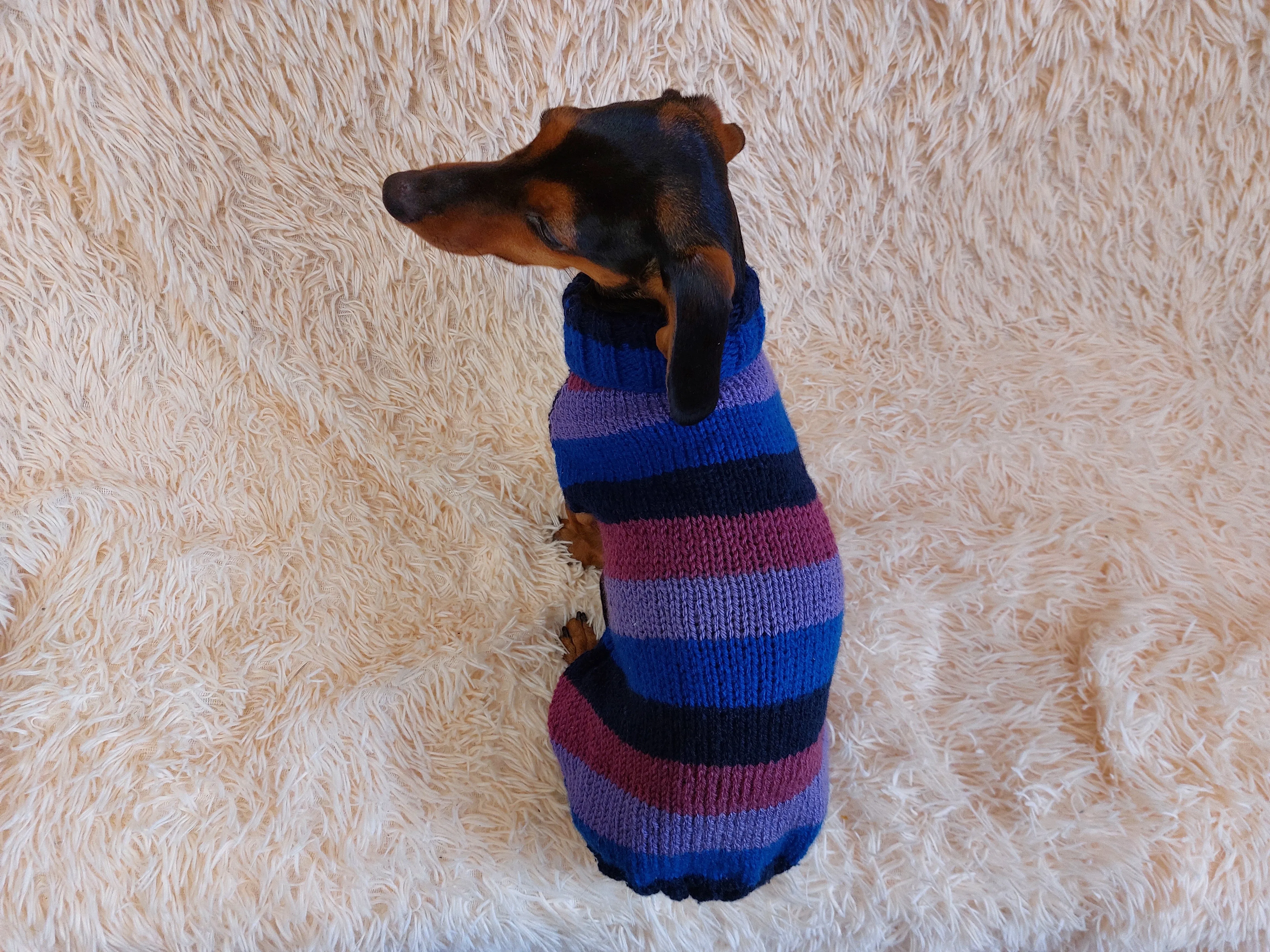 Sweater for small dog or dachshund puppy knitted angora wool handmade