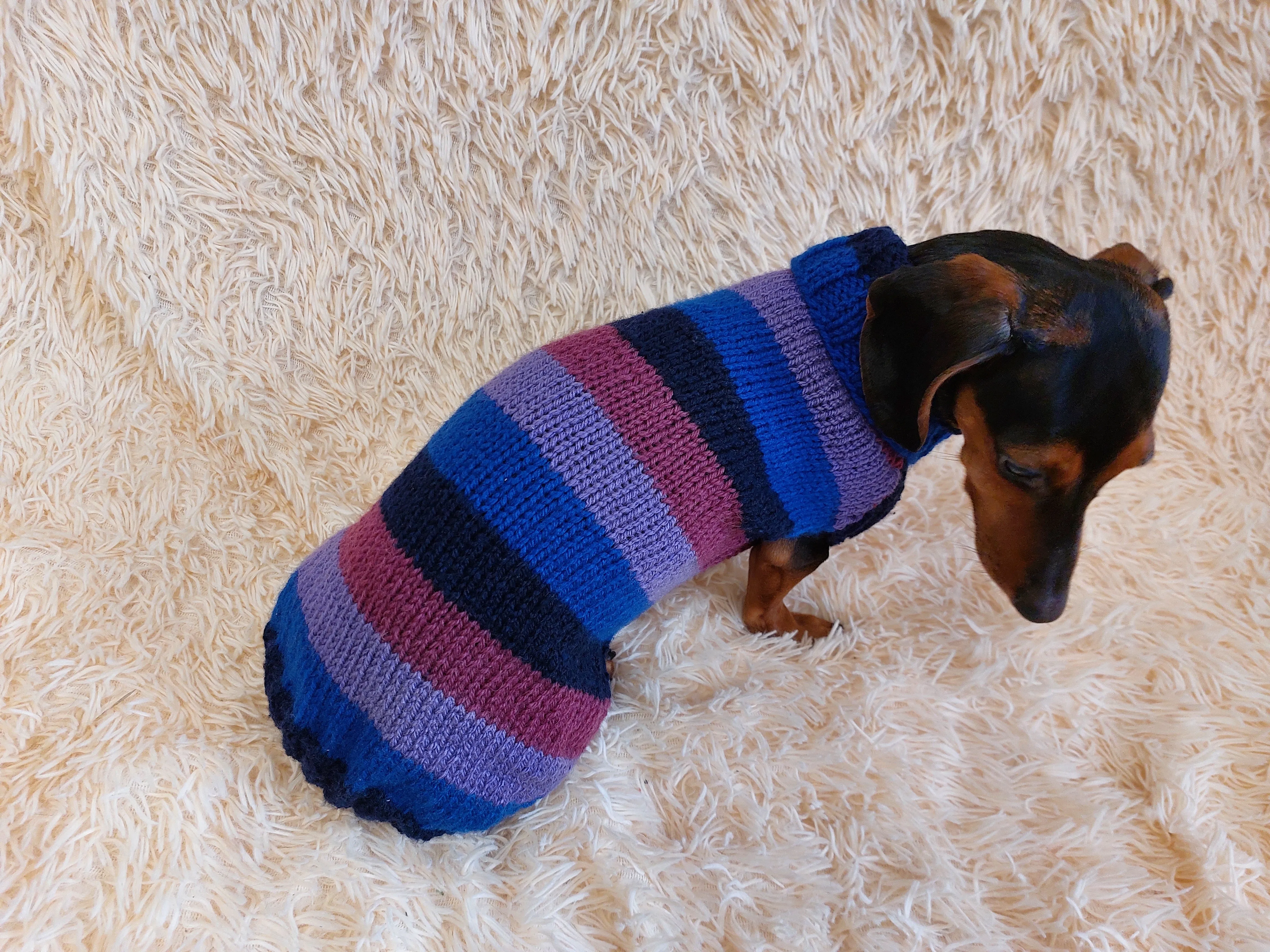 Sweater for small dog or dachshund puppy knitted angora wool handmade