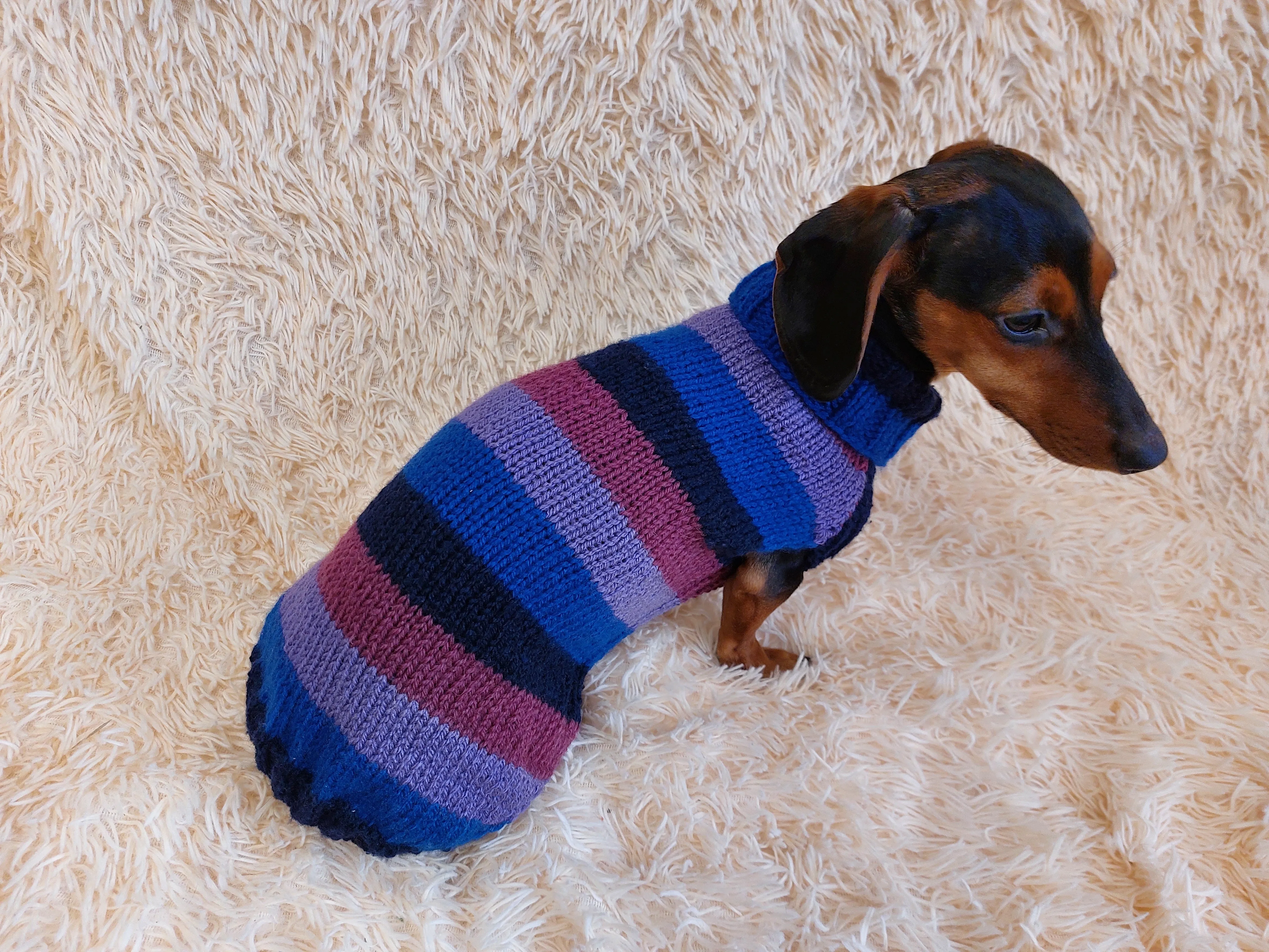 Sweater for small dog or dachshund puppy knitted angora wool handmade