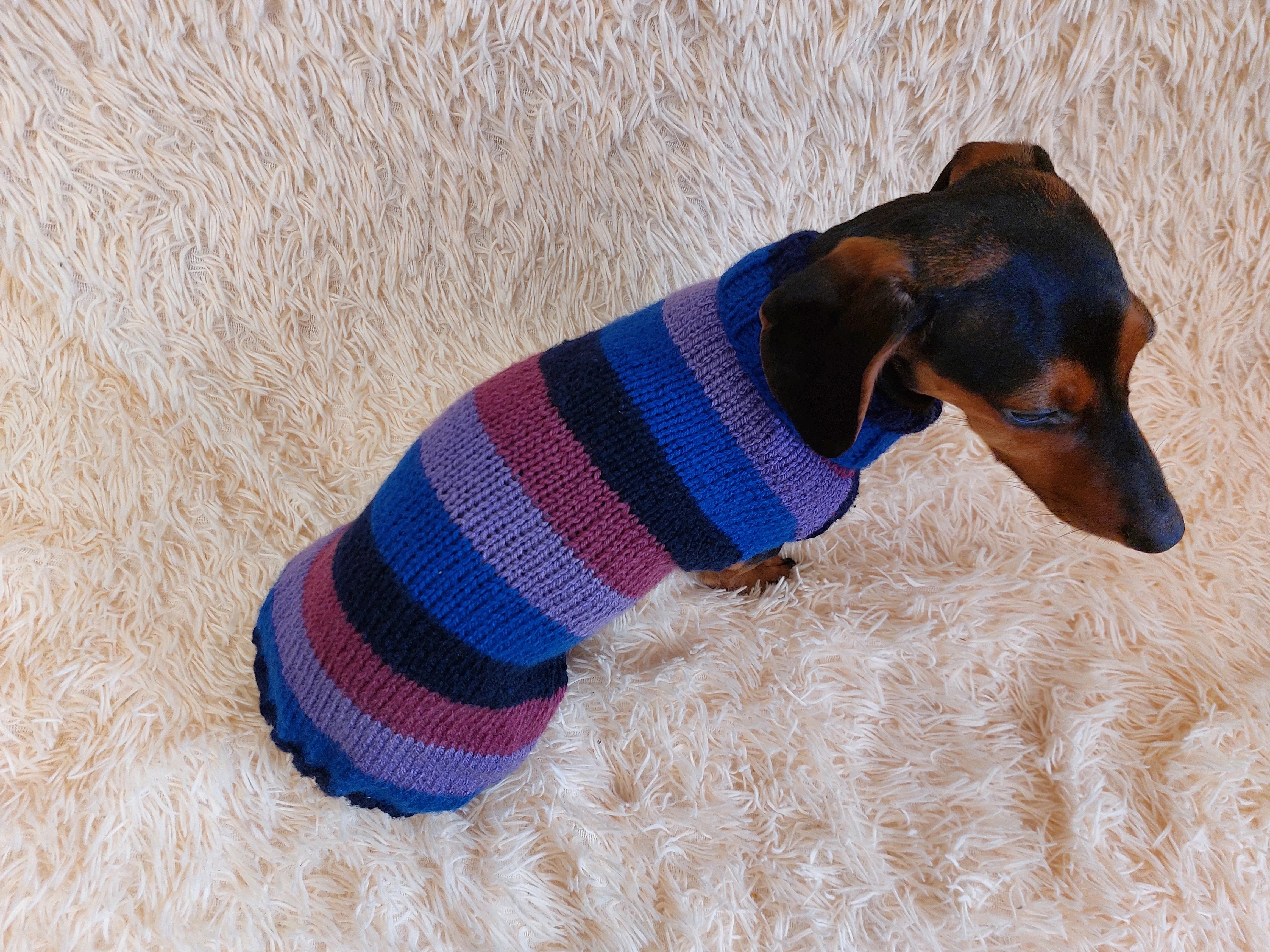 Sweater for small dog or dachshund puppy knitted angora wool handmade