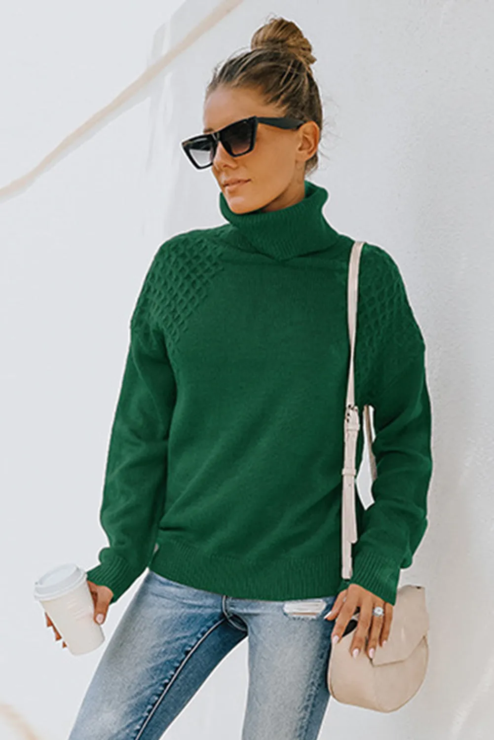 Turtleneck Knitted Pullover Sweater