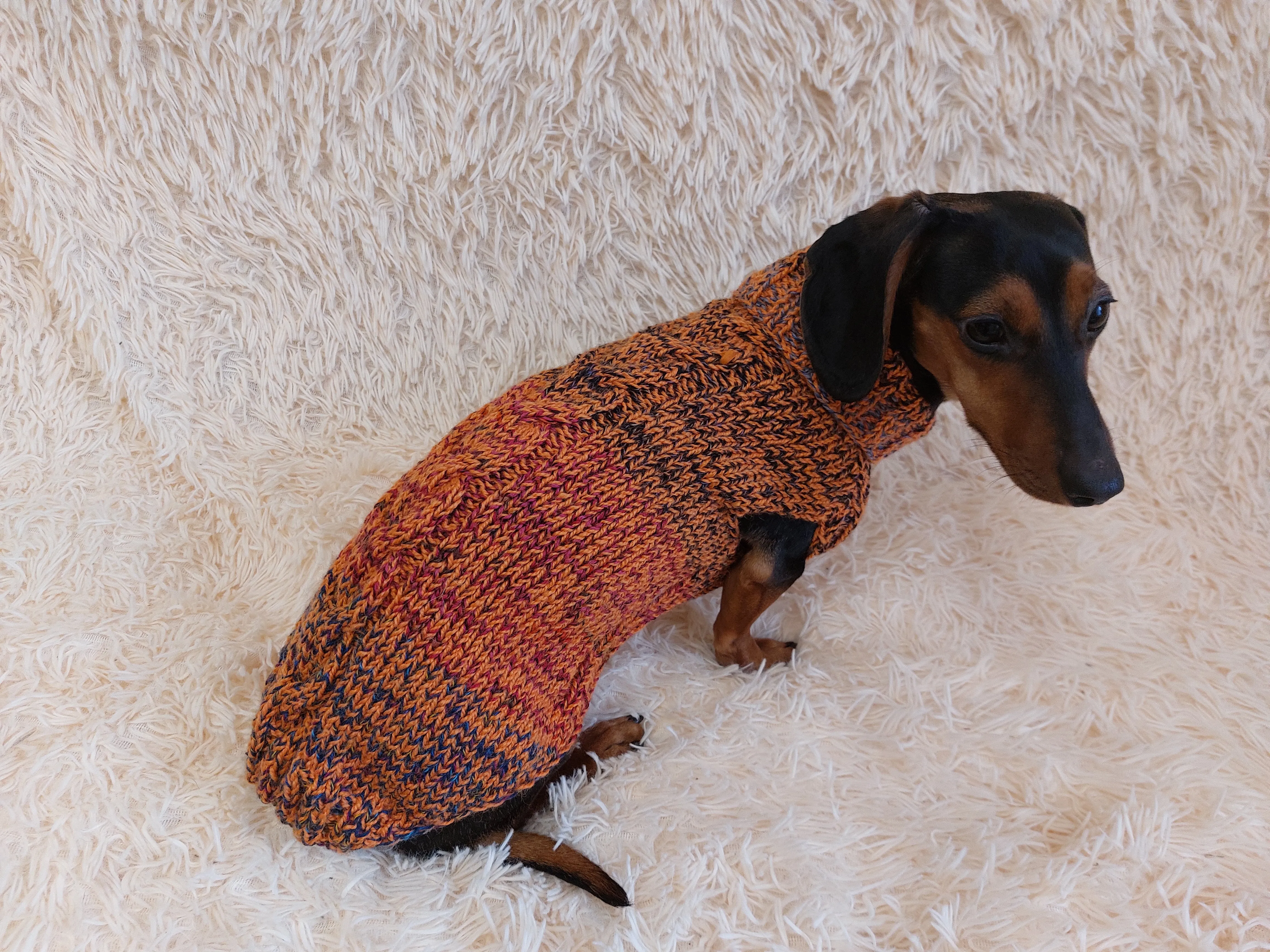 Warm Pet Clothes Small Dog Sweater, Dachshund Jumper