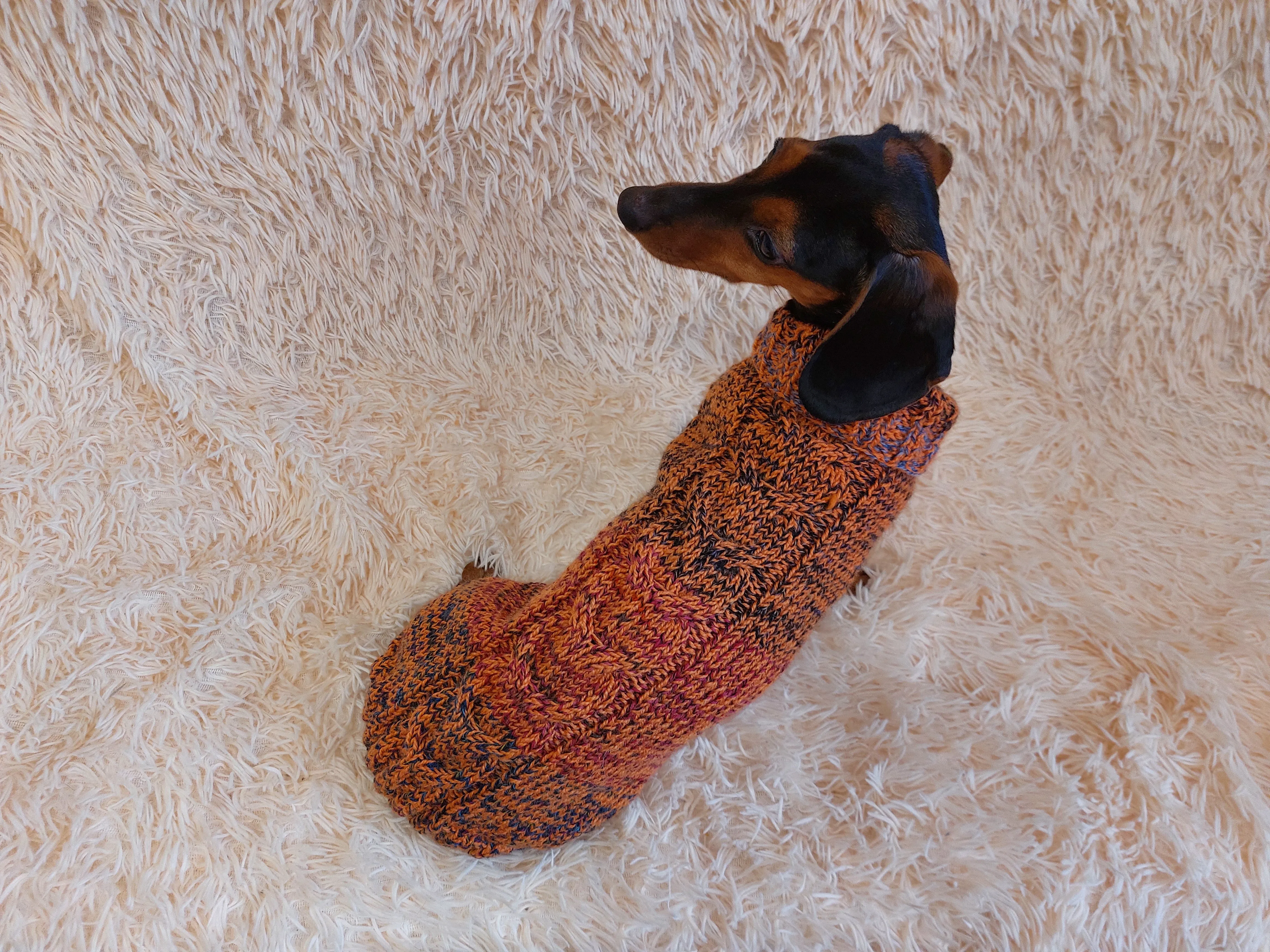 Warm Pet Clothes Small Dog Sweater, Dachshund Jumper